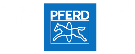 Pferd